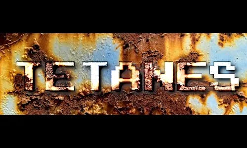 TetaNES Logo